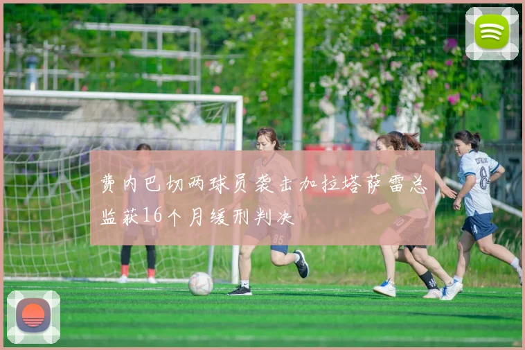 费内巴切两球员袭击加拉塔萨雷总监获16个月缓刑判决
